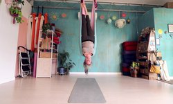 Aerial Yoga - Spinal Series Inversions